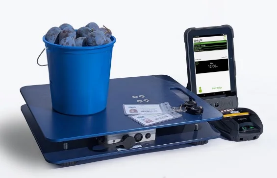 FairPick LE bundle: a blue NTEP-certified platform scale holding a bucket of fruit, a rugged handheld showing the net weight, a Zebra receipt printer, and employee badges